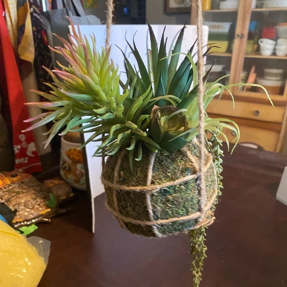 Hanging faux succulents